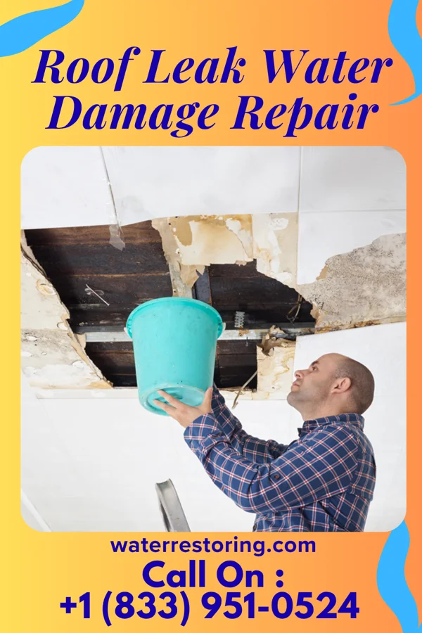 Roof Leak Water Damage Repair in Godley, TX